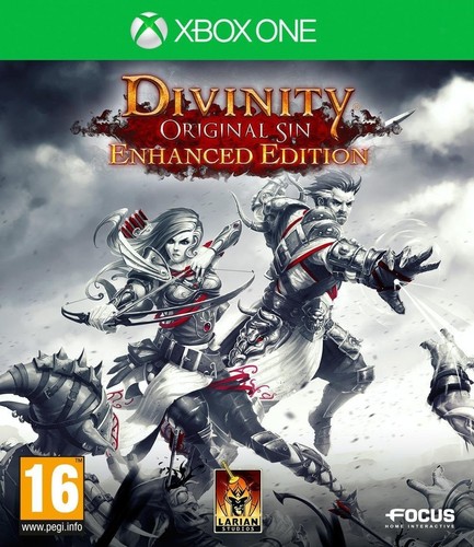 Divinity original sin enhanced - divinity,