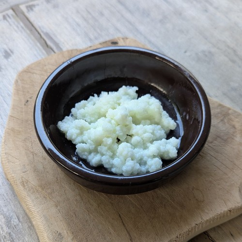 Kéfir cultivé au - 50,