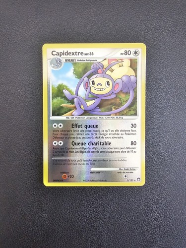 Carte pokémon capidextre - pokémon,