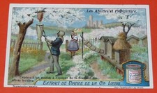 CHROME 1922-1923 LIEBIG SERIES 1135 BEES BEEKEEPING CAPTURE SWARM