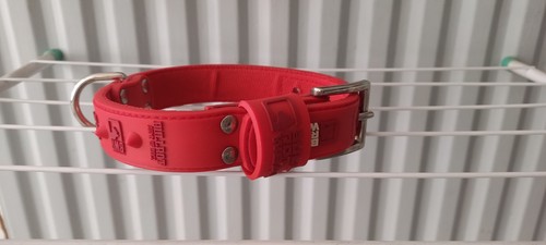 Collier pour chien - , bullrot