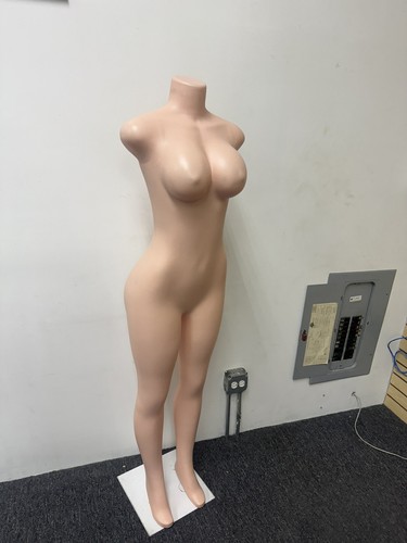 Female mannequin brazilian bbl - brazilian,