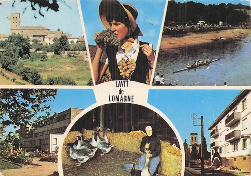 Lavit lomagne gaveuse - lomagne,