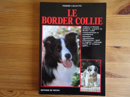 Border collie pierre - le,