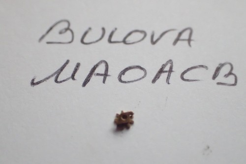 Bulova aoacb pièce - bulova,