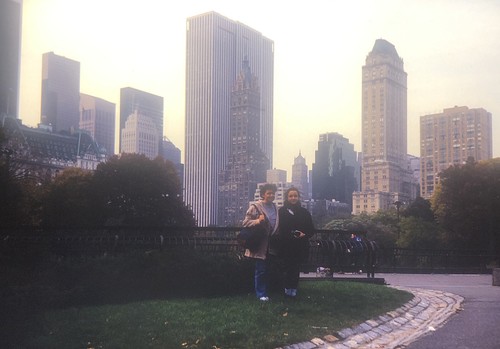 New york from central - new,