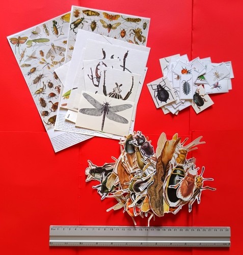 Pack ephemera 100 - ephemera,