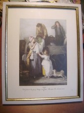 Planche "Pois ramés, pois