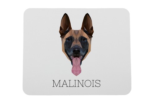 Malinois berger belge tapis - belge,