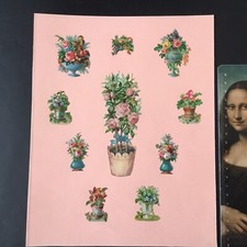 10 Chromos Anciens Fleurs