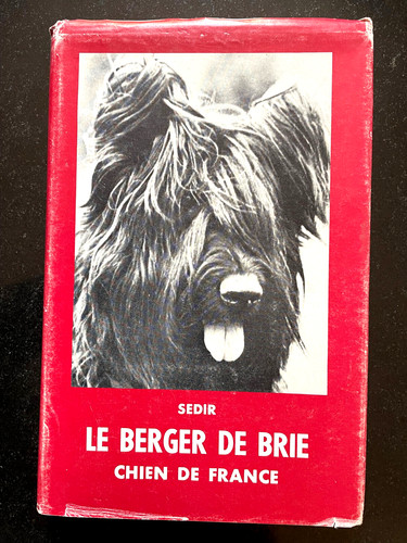 Berger brie chien de - berger,