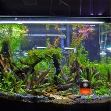 Support Pour Aquarium