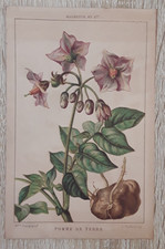 Carte-Chromos-Découpis-HACHET