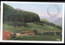 ST-PIERRE D'ALLEVARD BARIOZ 38: CHARGEMENT d'un CAMION de BOIS à la SCIERIE 1941