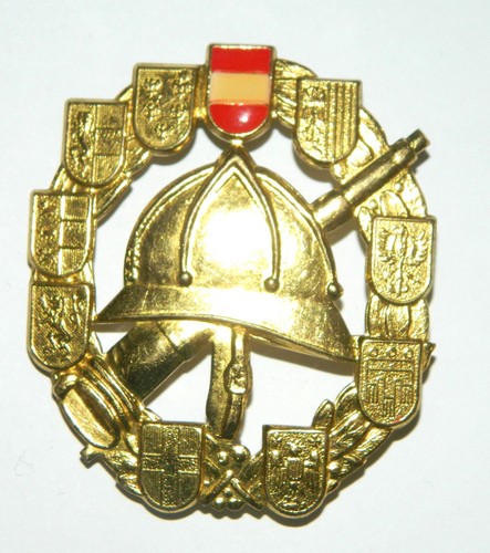 Insigne sapeurs pompiers - insigne,