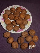 8 kg de noix fraîches de