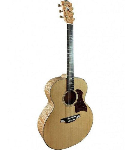 Guitare folk electro - guitare,