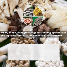30pcs PE Mushroom Growing Bag