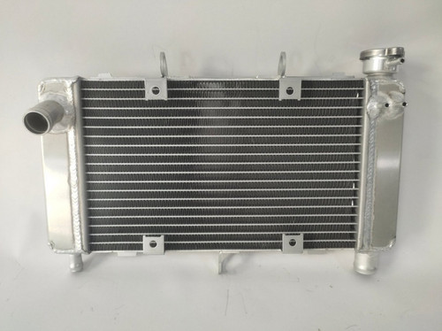 Radiator for yamaha fz6 - radiator, 6