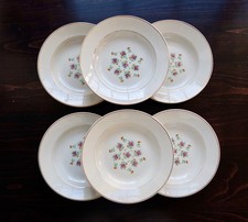 6 assiettes creuses vintage