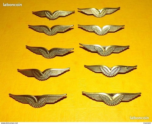 Lot insignes calot de - lot,