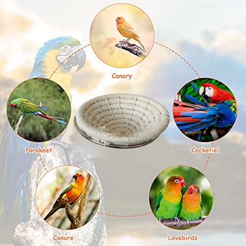 Oiseau facile installer - oiseau, à