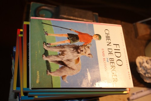 Fido chien berger - chien,