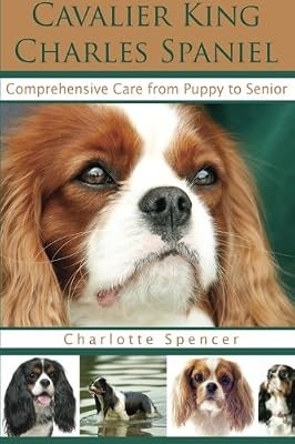 Cavalier king charles spaniel - cavalier,