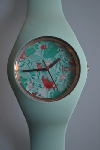 Montre ice watch - ice, vt.u.s.12