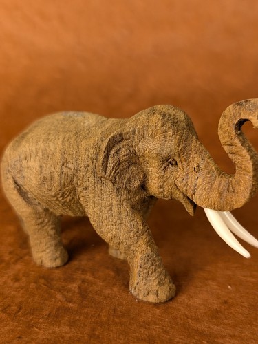éléphant teck wood - -,