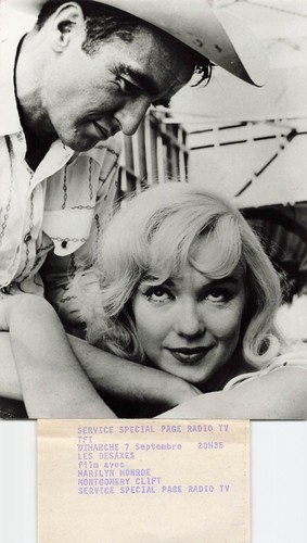 Marilyn monroe the - marilyn,