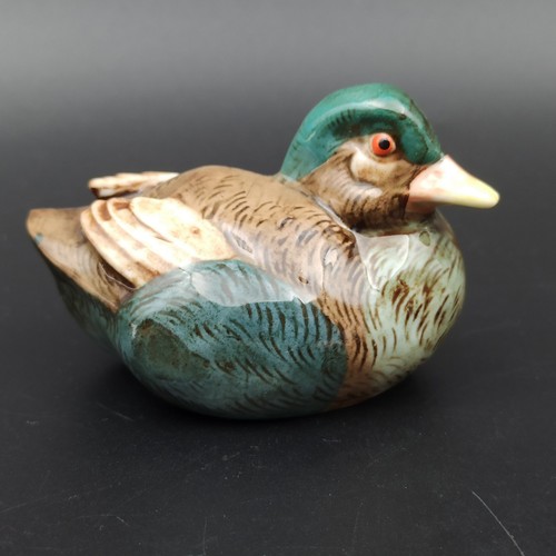 Canard colvert porcelaine - colvert, en