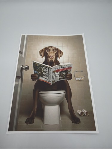 Affiche chien labrador - chien,