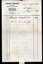 NERONDES (18) VETERINARY SURGERY / INFIRMARY "Doctor DENIZOT" travelled 1948