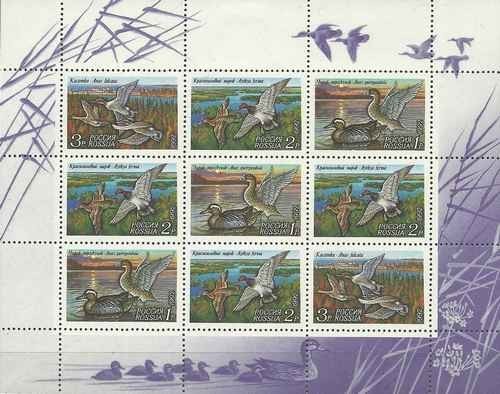 Timbres oiseaux canards russie - oiseaux,