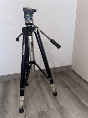 Pied slik easi glide video - glide,