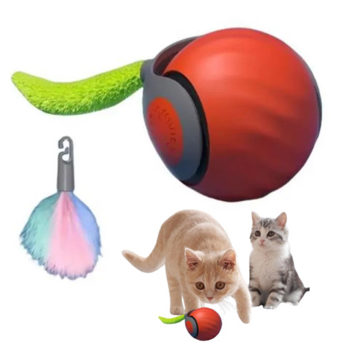 Jouet interactif speedy tail - jouet,