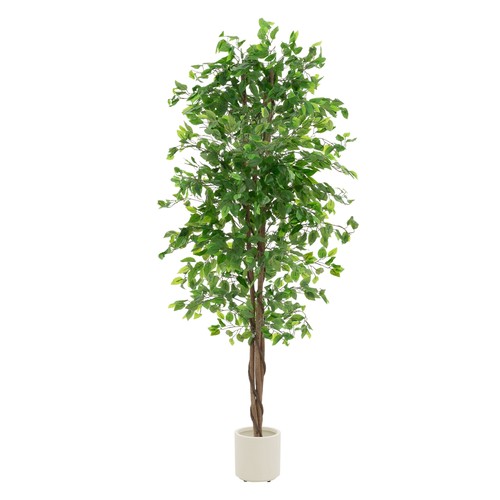 Plante artificielle ficus