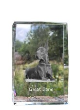 Grand Dogue Allemand I -