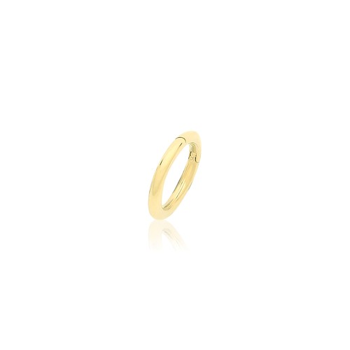 Boucle oreille cartilage - boucle,