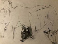 Très Beau Dessin 1900 Crayon