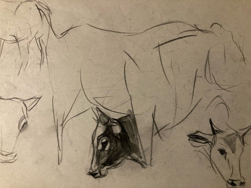 Très beau dessin - très, crayon