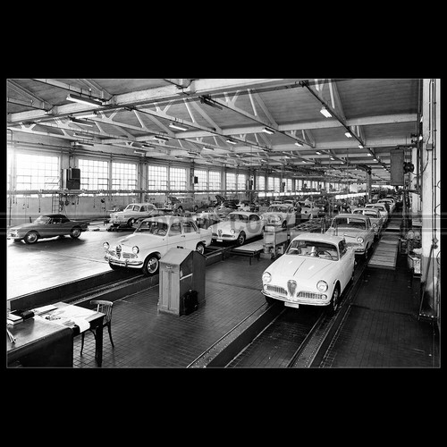 Photo 002531 alfa - photo,