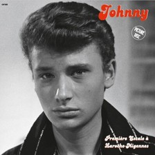 Johnny Hallyday - Premiere Escale à La Roche Migennes - 33t Picture Disc -CAT033