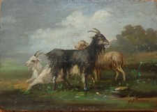Chèvre mouton Peinture sur