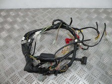 Faisceau électrique DERBI