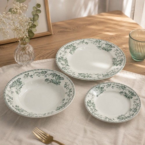 Lot assiettes soupe plate - lot,