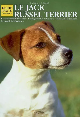 Jack russel terrier g - le, terrier,