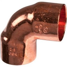 COUDE CUIVRE Femelle Femelle