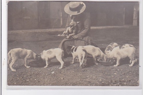 Cyprien carte photo - :,